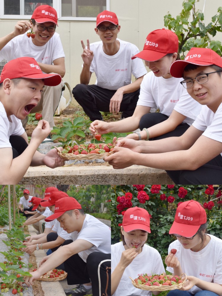 10.千亿体育官方(集团)股份有限公司奉建TJ09项目组织青年摘草莓主题活动.jpg